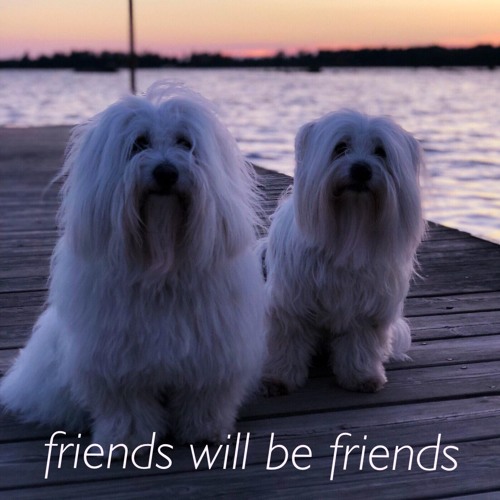 ภาพปกอัลบั้มเพลง Friends Will Be Friends