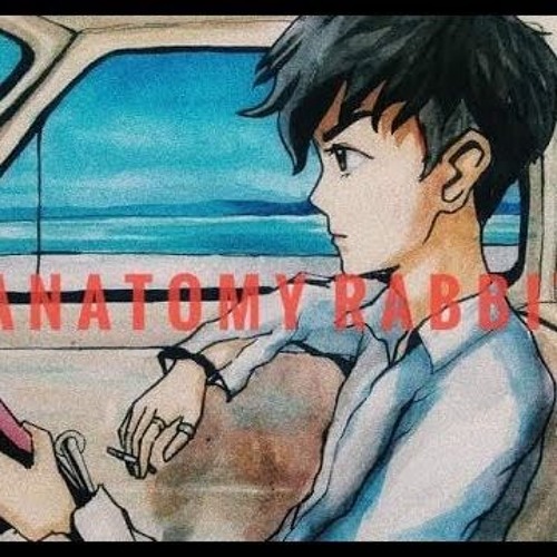 ภาพปกอัลบั้มเพลง ANATOMY RABBIT - ขับรถเล่น Feat. พลอย The Voice