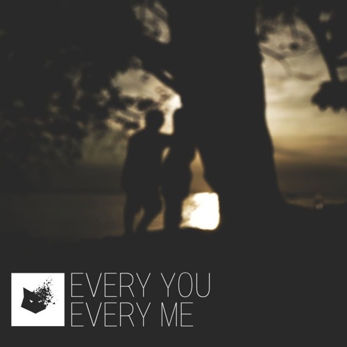 ภาพปกอัลบั้มเพลง Every You Every Me