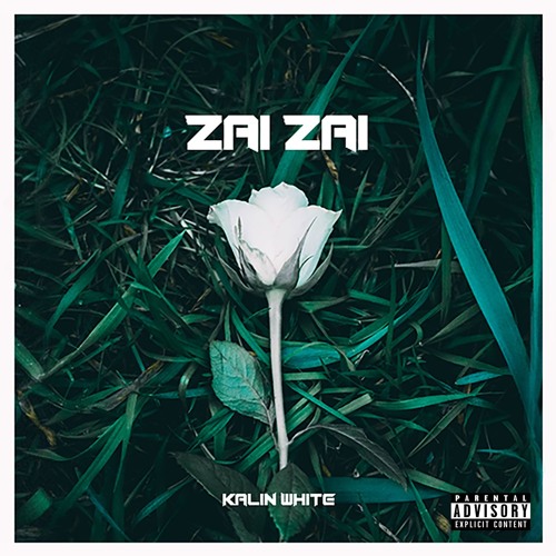 ภาพปกอัลบั้มเพลง Zai Zai