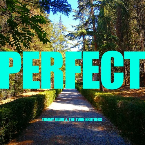 ภาพปกอัลบั้มเพลง Perfect (with The Twin Brothers) 2.0 Version Cover of Ed Sheeran's Perfect