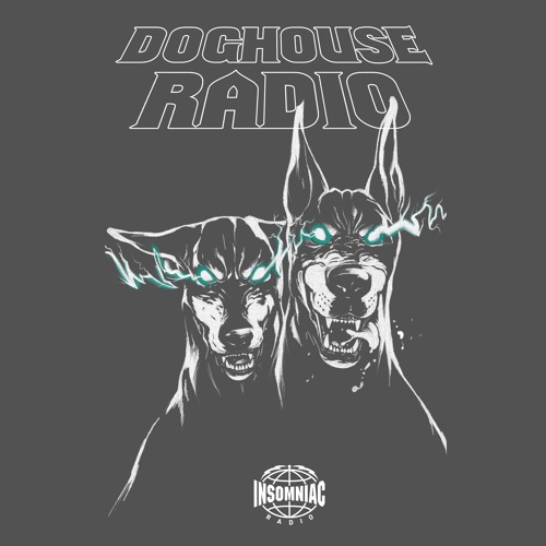 ภาพปกอัลบั้มเพลง Kayzo Doghouse Radio 029 (INSOMNIAC)