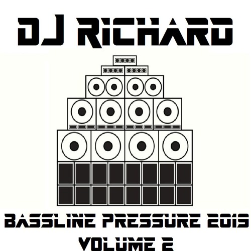 ภาพปกอัลบั้มเพลง DJ Richard - Bassline Pressure 2019 Vol 2 - Two Hours of Speed Garage & Bassline in the Mix