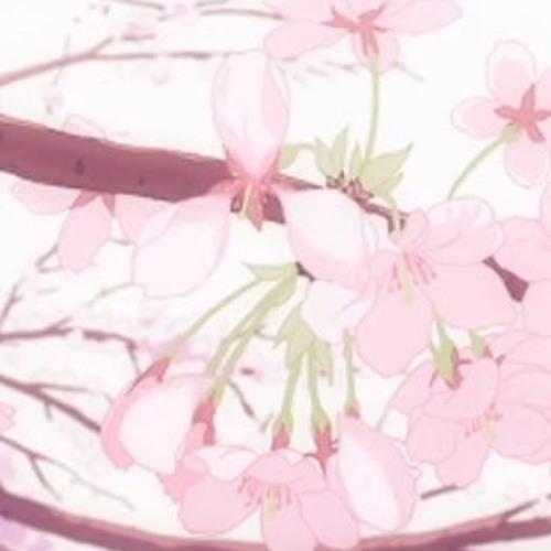 ภาพปกอัลบั้มเพลง Txrbo - ดอกไม้ของผม