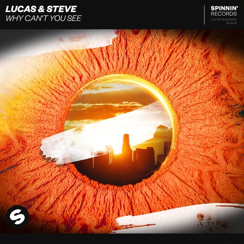 ภาพปกอัลบั้มเพลง Lucas & Steve - Why Can't You See OUT NOW