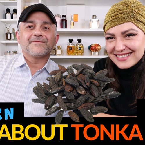 ภาพปกอัลบั้มเพลง What Are Tonka Beans Everything You Need To Know About Tonka Beans W A Nose Knows