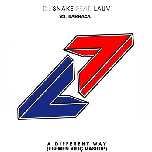 ภาพปกอัลบั้มเพลง DJ Snake feat. Lauv - A Different Way vs. Barraca (Egemen Kılıç Mashup)