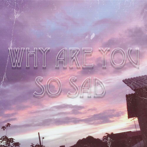ภาพปกอัลบั้มเพลง Why Are You So Sad Ft. BCSEW (Prod. hisohkah)