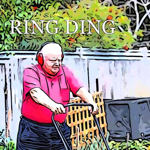 ภาพปกอัลบั้มเพลง Ring Ding