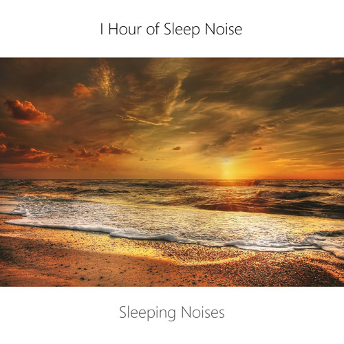 ภาพปกอัลบั้มเพลง Brown Sleep Noise and Sea Wind (feat. Healing White Noise)