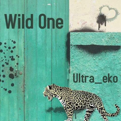 ภาพปกอัลบั้มเพลง Wild One