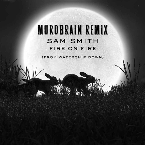 ภาพปกอัลบั้มเพลง Sam Smith - Fire On Fire (Murdbrain Remix)