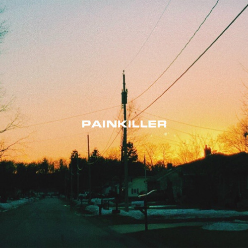 ภาพปกอัลบั้มเพลง painkiller (ruel cover)