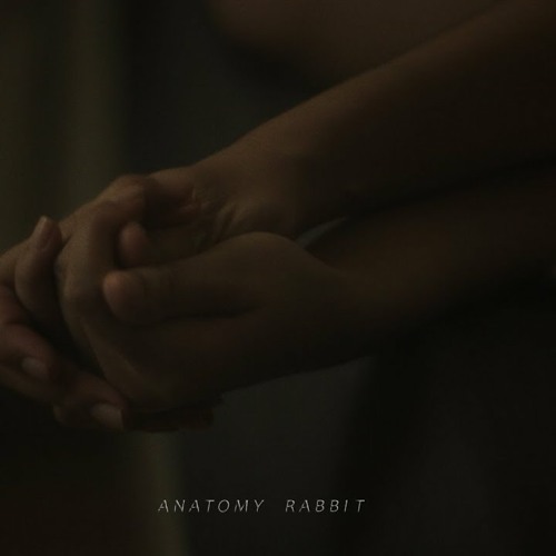 ภาพปกอัลบั้มเพลง ANATOMY RABBIT - ฉันคือผู้ให้ฉัน Single Mom