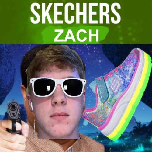 ภาพปกอัลบั้มเพลง Skechers
