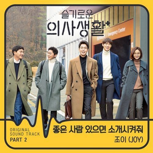 슬기로운 의사생활 OST Part 2 Introduce me a good person (좋은 사람 있으면 소개시켜줘) - Joy (조이) COVER