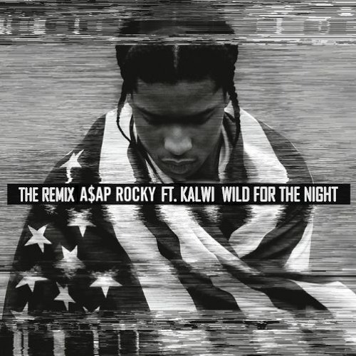 ภาพปกอัลบั้มเพลง kalwi ft. A$AP Rocky Skrillex Birdy Nam Nam - Wild For The Night