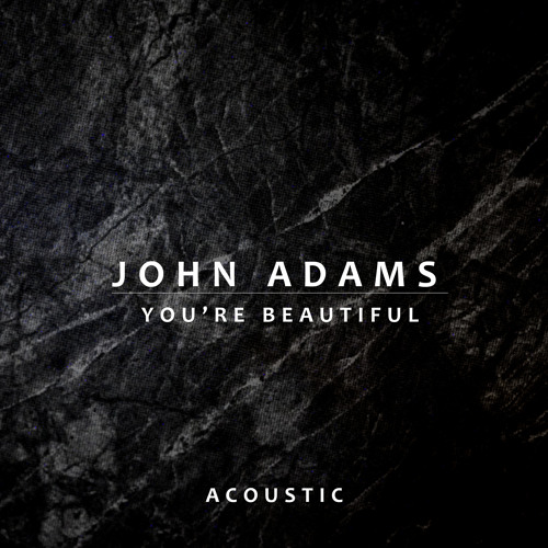 ภาพปกอัลบั้มเพลง You’re Beautiful (Acoustic)