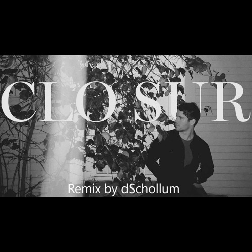 ภาพปกอัลบั้มเพลง Clo Sur - While You Think It Over (dSchollum Remix)
