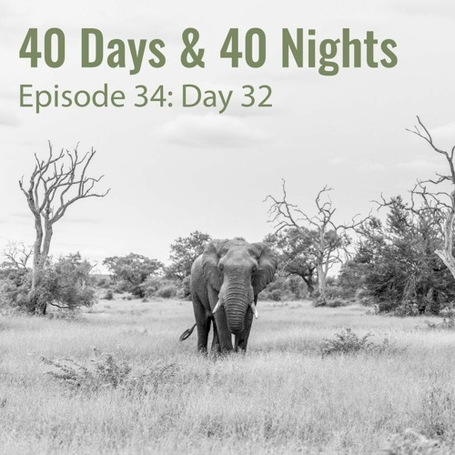 ภาพปกอัลบั้มเพลง 40 Days & 40 Nights - 34 Day 32 - Being Elephant