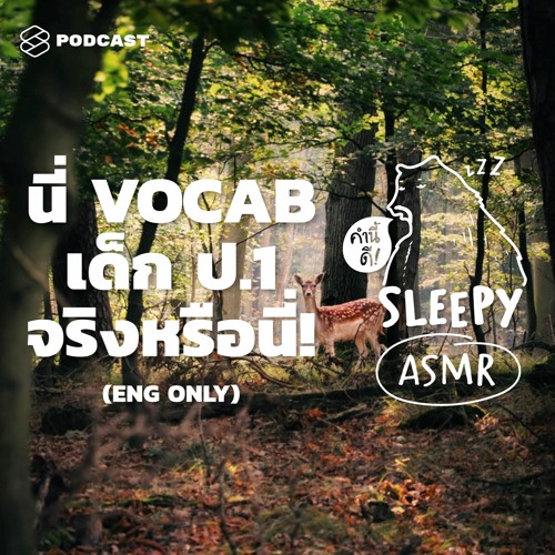 ภาพปกอัลบั้มเพลง คำนี้ดี SLEEPY EP.7 (ENG ONLY) ASMR VOCAB เด็ก ป.1 ! พี่อึ้งมาก ท่องศัพท์ระดับประถม (Jungle V.)