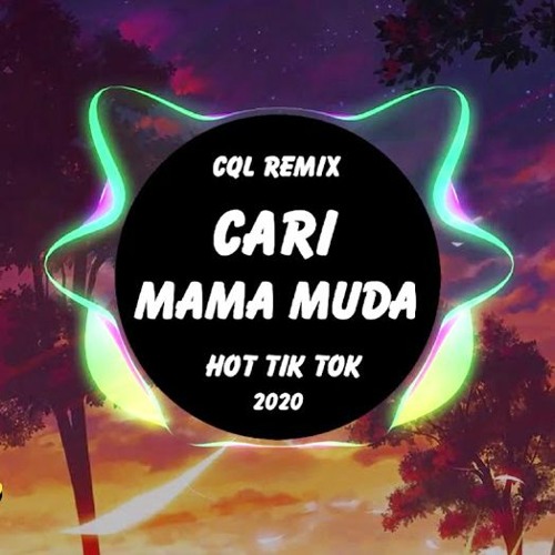 ภาพปกอัลบั้มเพลง Cari Mama Muda - C.Q.L Remix Hot Tik Tok 2020
