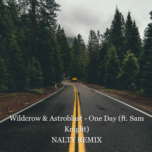 ภาพปกอัลบั้มเพลง Wildcrow & Astroblast - One Day (ft. Sam Knight)(Nalty Remix)