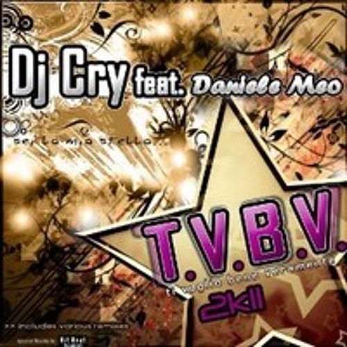 ภาพปกอัลบั้มเพลง Dj Cry Feat. Daniele Meo - TVBV 2k11 (Off Beat Boy Feat. Lyonhard 2k13 Bootleg Remix)