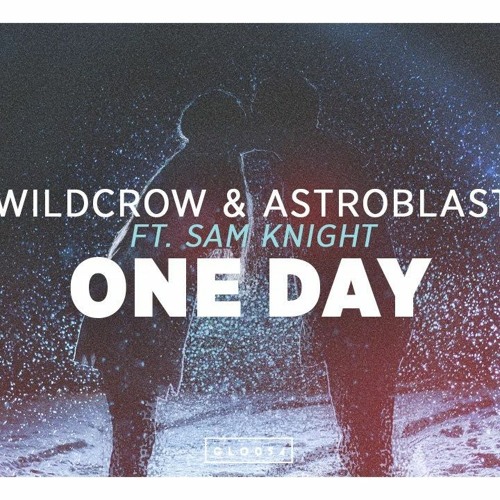 ภาพปกอัลบั้มเพลง Wildcrow & Astroblast Ft. Sam Knight - One Day (Rovez Remix)