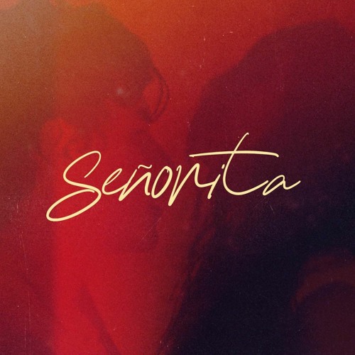 ภาพปกอัลบั้มเพลง Shawn Mendes & Camila Cabello - Senorita ( Daniel Frýda Remix 2020 )