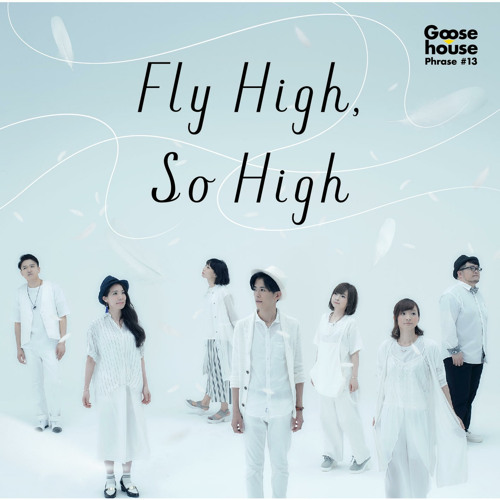 ภาพปกอัลบั้มเพลง Fly High So High (Instrumental)