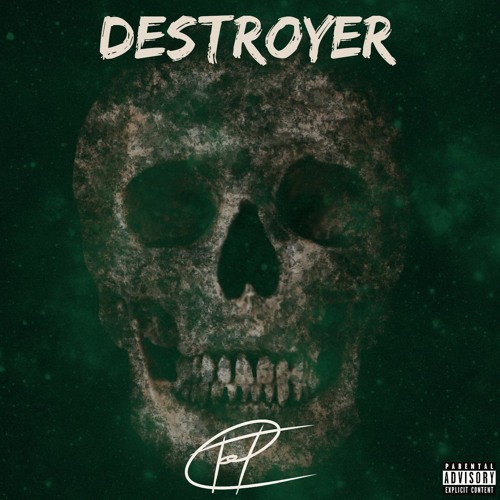 ภาพปกอัลบั้มเพลง Destroyer (T T Electronic Cover) - Static X