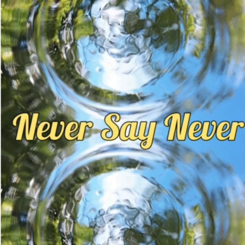 ภาพปกอัลบั้มเพลง Never Say Never
