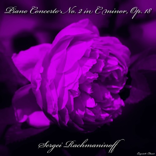 ภาพปกอัลบั้มเพลง Piano Concerto No. 2 in C Minor Op. 18 - I. Moderato