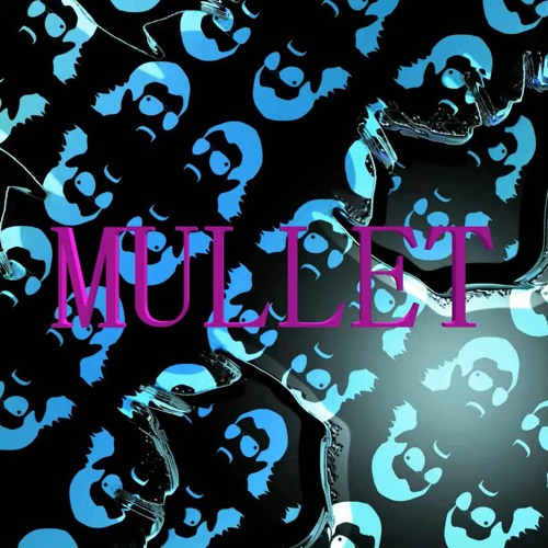 ภาพปกอัลบั้มเพลง Mullet