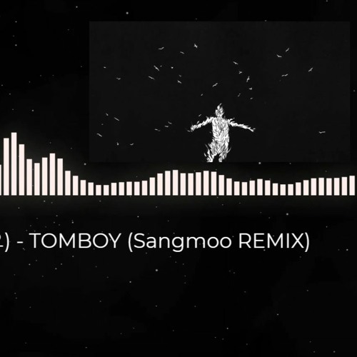 ภาพปกอัลบั้มเพลง HYUKOH(혁오) - TOMBOY (Sangmoo REMIX)