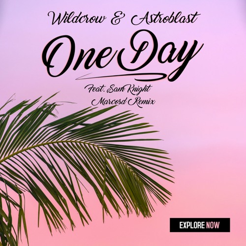 ภาพปกอัลบั้มเพลง Wildcrow & Astroblast - One Day (Feat. Sam Knight)(Remix)