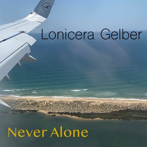 ภาพปกอัลบั้มเพลง Never Alone (Radio Edit)