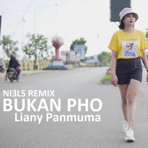 ภาพปกอัลบั้มเพลง DJ BUKAN PHO !! De Yang Gatal Gatal Sa - Liany Panmuma (NI3LS Remix)