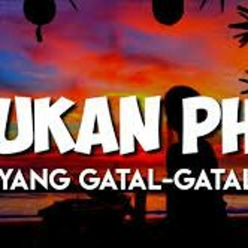 ภาพปกอัลบั้มเพลง DJ BUKAN PHO TIK TOK X AHH MANTAP X TARIK SIS X DE YANG GATAL GATAL (DJ IMUT REMIX)
