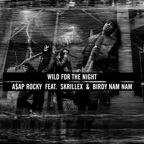 ภาพปกอัลบั้มเพลง Wild For The Night - A$AP Rocky feat. Skrillex and Birdy Nam Nam