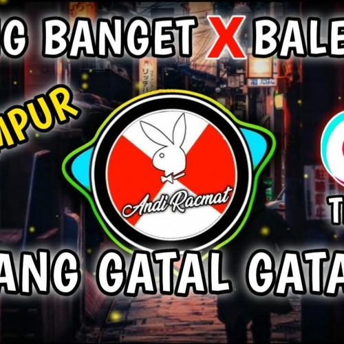 ภาพปกอัลบั้มเพลง DJ VIRAL DE YANG GATAL GATAL X BALE BALE X ANJING - ANJING BANGET