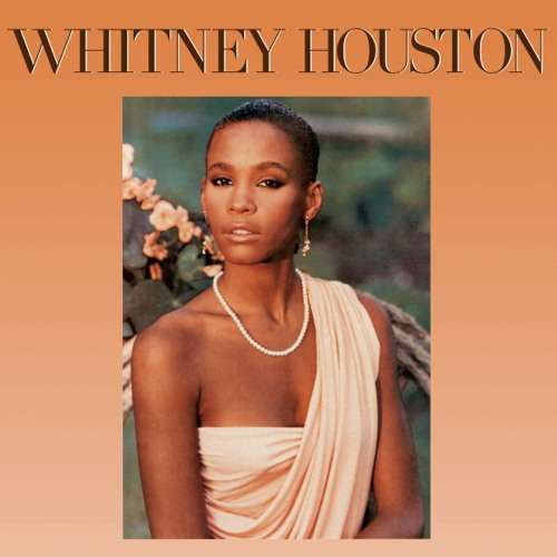 ภาพปกอัลบั้มเพลง Whitney Houston - ng All My Love For You(RoToR Remix)