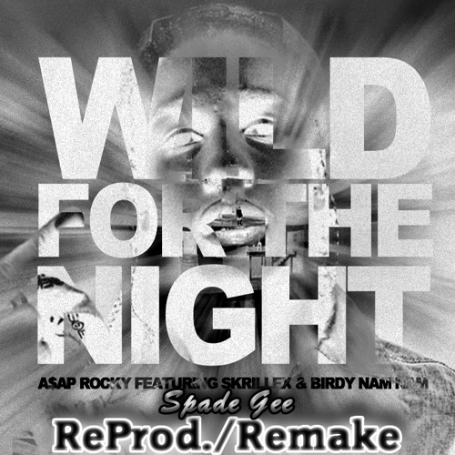 ภาพปกอัลบั้มเพลง Wild For The Night (Instrumental) Feat Skrillex & Birdy Nam Nam (ReProd. By Spade Gee)
