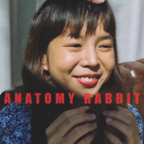 ภาพปกอัลบั้มเพลง ธรรมดาแสนพิเศษ - anatomy rabbit