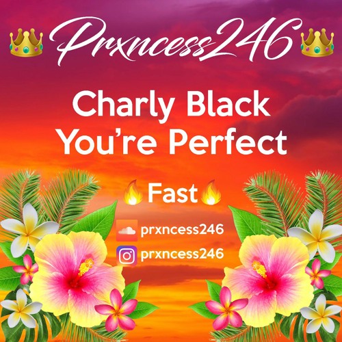 ภาพปกอัลบั้มเพลง Charly Black - You're Perfect - Fast