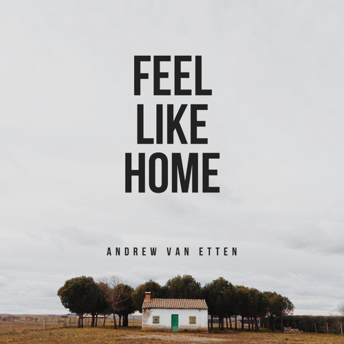 ภาพปกอัลบั้มเพลง Feel Like Home