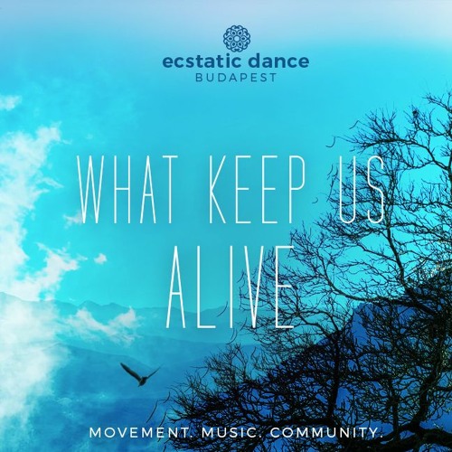 ภาพปกอัลบั้มเพลง What Keep Us Alive – Ecstatic Dance Journey By MettāSoůl (Ecstatic Dance Budapest) – 2021 02 20