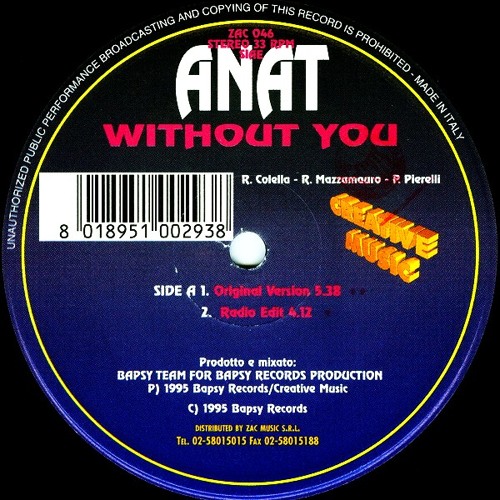 ภาพปกอัลบั้มเพลง Anat – Without You