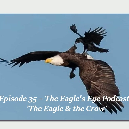 ภาพปกอัลบั้มเพลง 035 Episode 35 Eagle's Eye Podcast - 'The Eagle & the Crow'